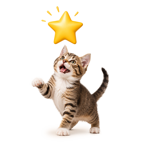 Gatoskilo Cat