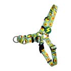 Dashi Σαμαράκι Σκύλου Front Avocado L 38-49cm