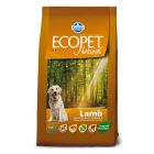 Ecopet Natural Adult Medium Αρνί 2.5kg