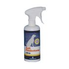 AntiPhlebotome Αντιπαρασιτικό Σπρέι Σκύλου Citro 500ml