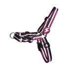 Dashi Σαμαράκι Σκύλου Stripes Purple & Black S 30-38cm