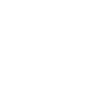 Minicart Header Icon